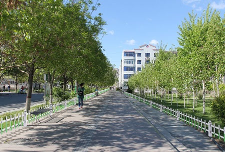 綠化市政護欄,裝點你的美 花園草坪.jpg